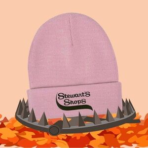NWT‼️ STEWARTS SHOPS 2025 BEANIE